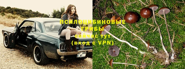 метадон Армянск
