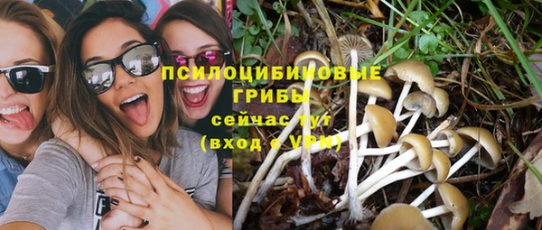 гашишное масло Аркадак
